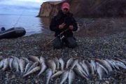 Волгоградское водохранилище