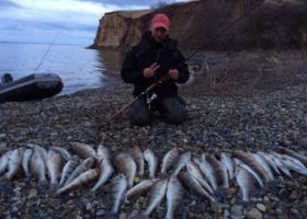 Волгоградское водохранилище