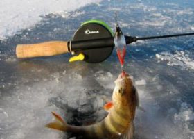 Ловля окуня зимой на блесну
