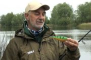 Воблер Rapala Shad Rap