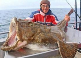 Морские хищные рыбы
