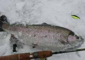Ловля форели на платных водоемах