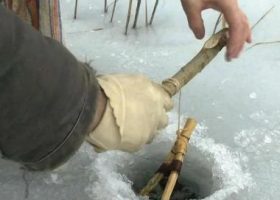 Ловля щуки в ноябре на Волге