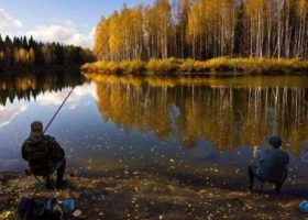 Особенности ловли рыбы осенью