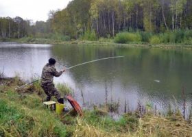 Рыбалка на озере на поплавок