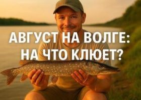 Рыбалка в августе на Волге