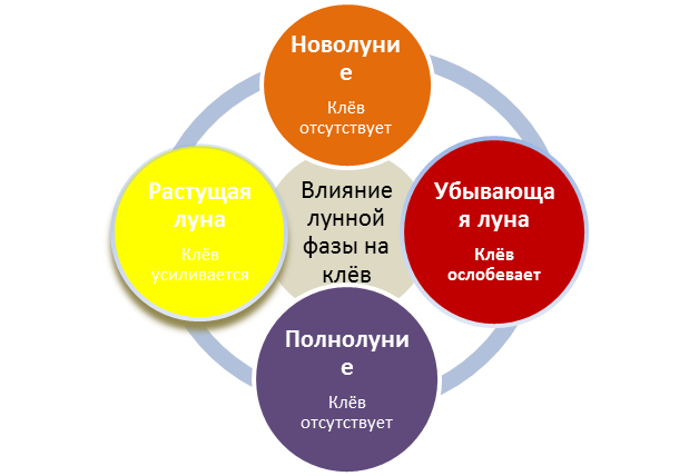лунные фазы