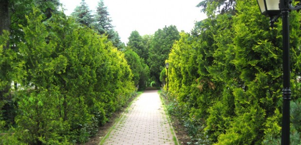 территория отеля