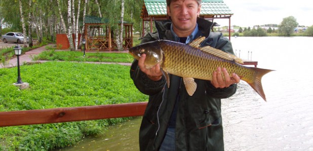 ловля карпа